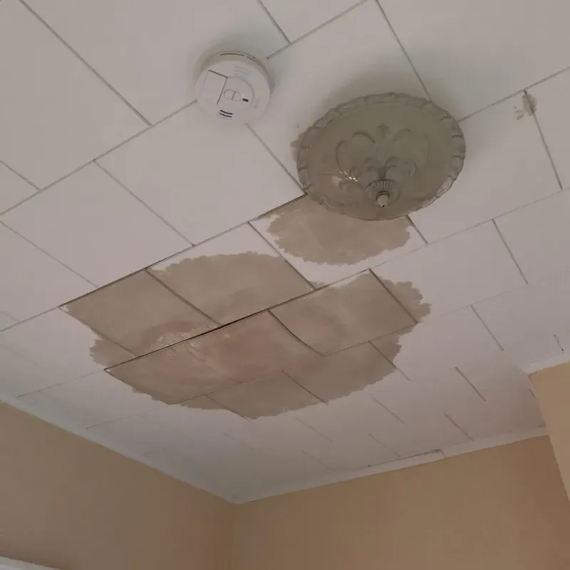 Ceiling Water Damage Repair in Clearfield, PA