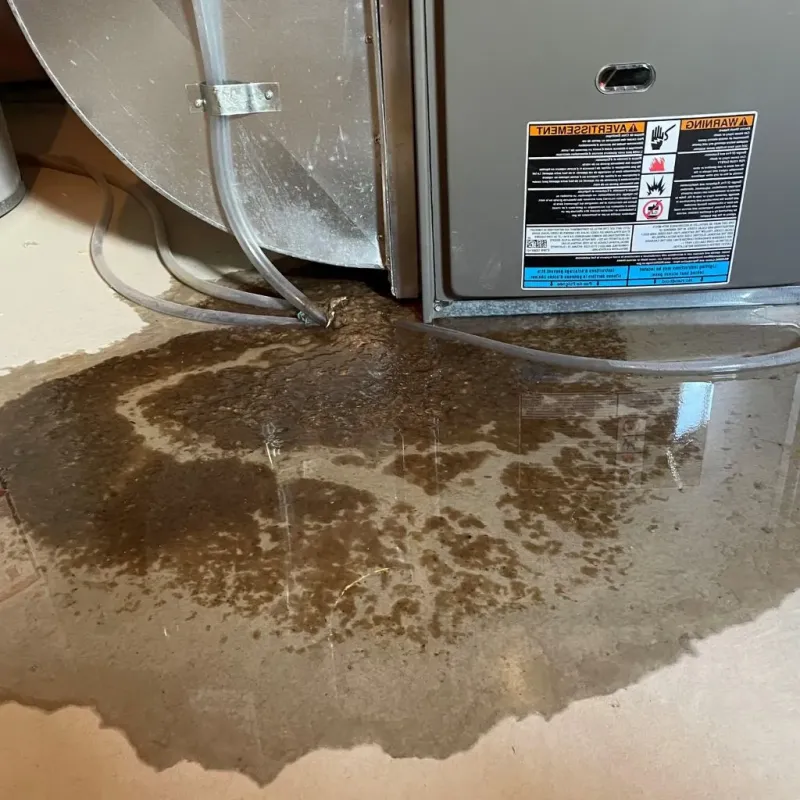 Pipe Burst and Leak Restoration in Clearfield, PA