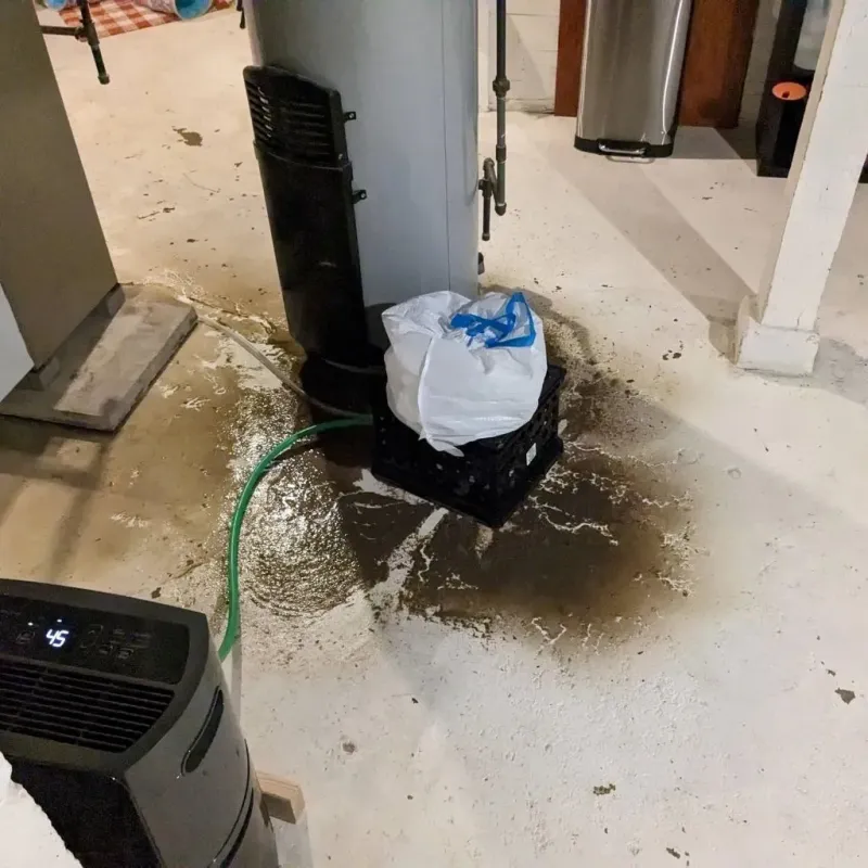 Sewage Backup Cleanup Service in Clearfield, PA